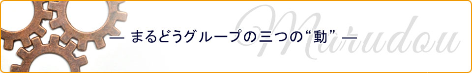 まるどうグループの三つの動